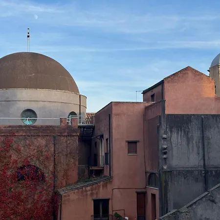 Alisea * 卡塔尼亚